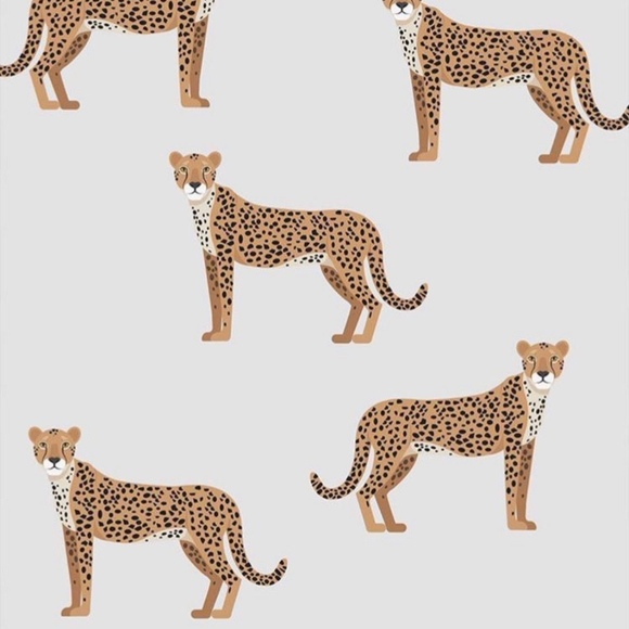 Meet your Posher, Anna - Picture 1 of 1